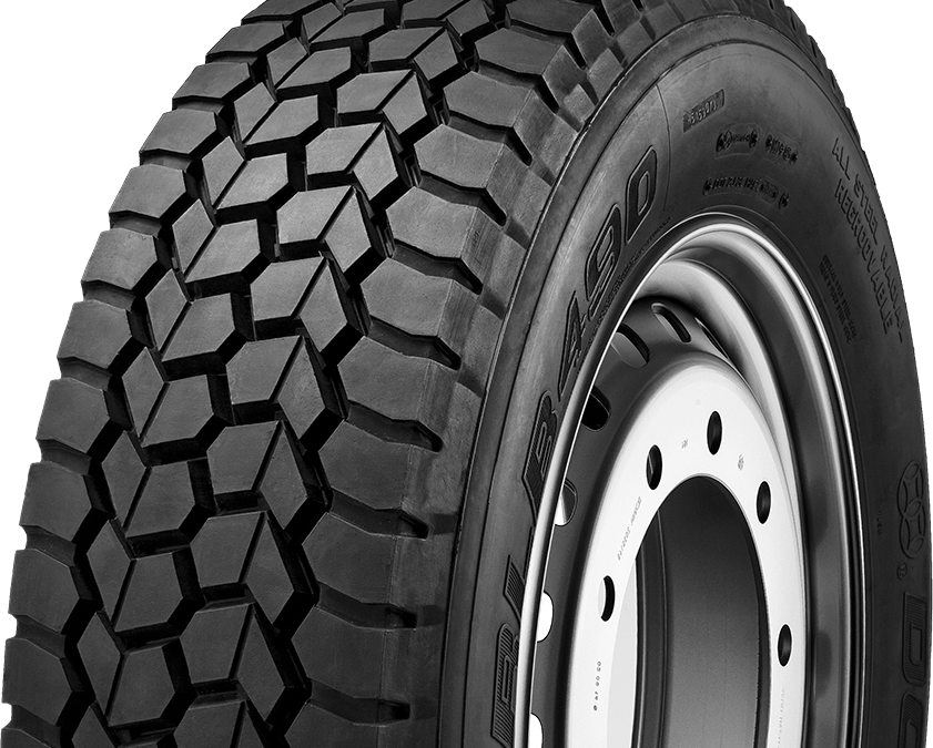 Double Coin RLB490